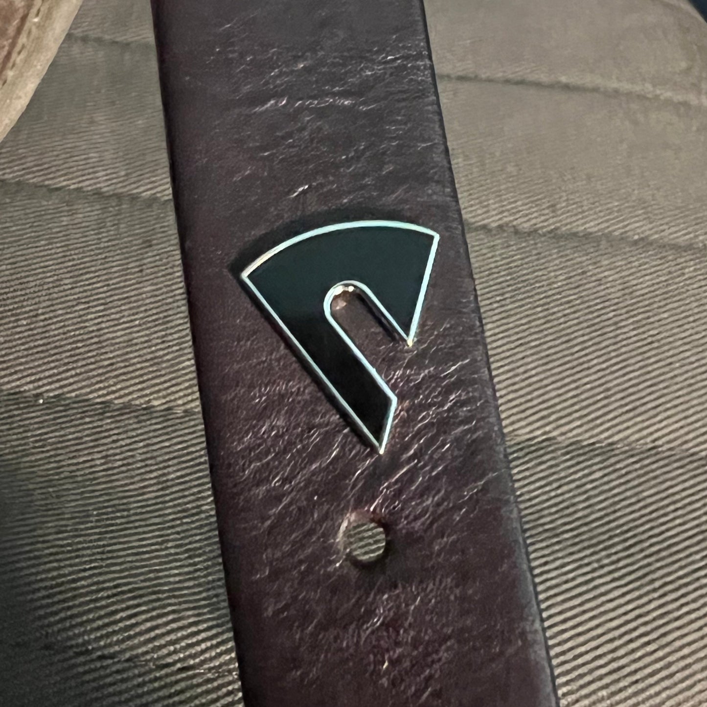 Pawl Pin